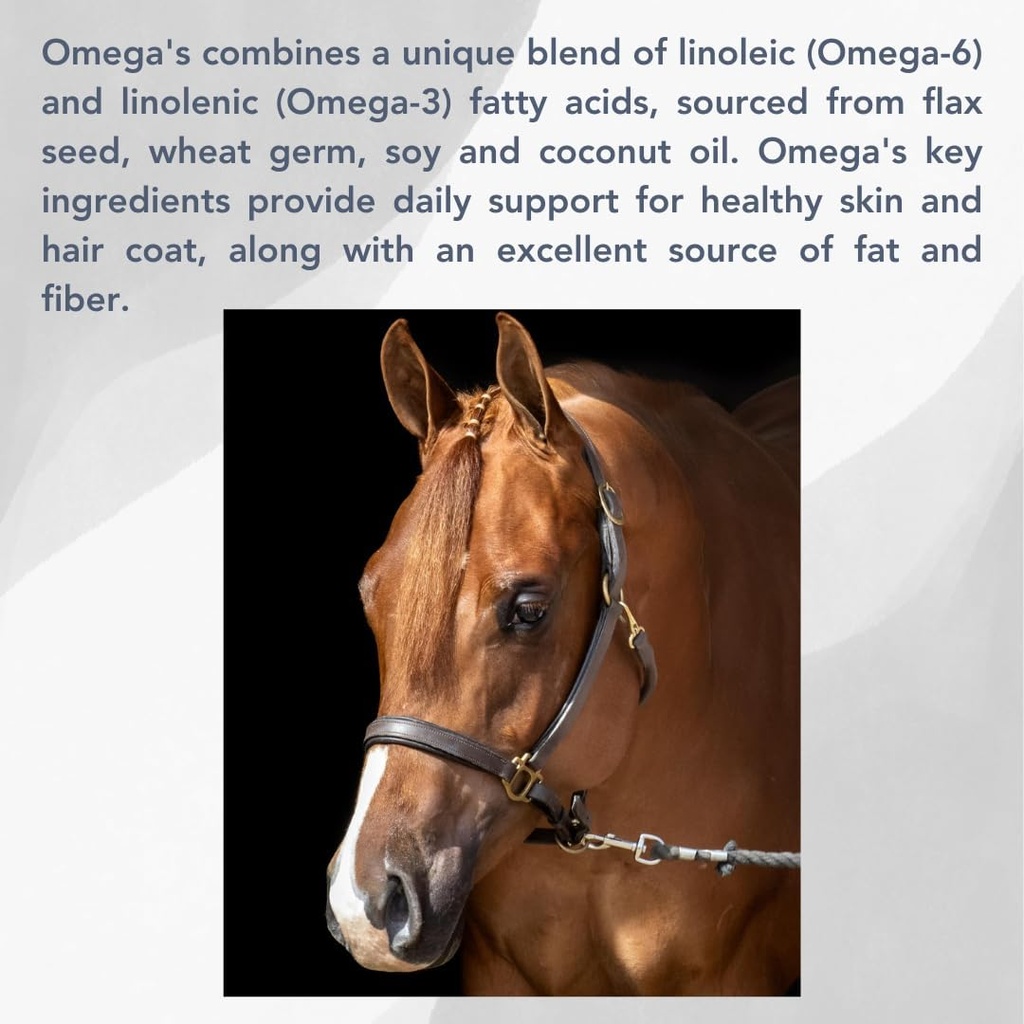 Omega 's (25lb) Sund Coat Support for Heste