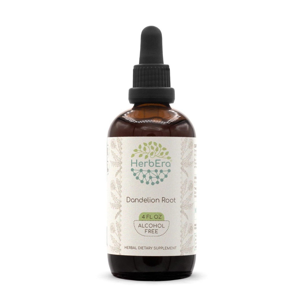 HerbEra Mælkebøtte Root B120 Alkohol- Free Herbal Extract Tinktur, Super- koncentreret Mælkebøtte (Taraxacum Officinale) Tørret rod (4 fl oz)