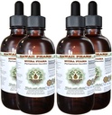 Muira Puama Alkohol- Free Liquid Extract, Organic Muira Puama (Ptychopetalum Olacoides) Glycerite Natural Herbal Supplement, Hawaii Pharm, USA 4x4 oz