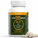Vital Gut Health 4in1 Formel med Apple Cider Vinagra, Prebiotics & Probiotics, fordøjelsesenzymer for stærk Immunitet støtte og komplet Gut og fordøjelsesstøtte