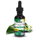 Naturens svar Alkohol- Free Gymnema Leaf 1oz Extract Note 124; Gluten- Free Note 124; Non-GMO-Note 124; Vegan Memory 124; Ingen kunstige flavors eller præservatives