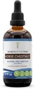 Hemmeligheder af Tribe Horse Chestnut Tinktur Alkohol- Free Liquid Extract, Horse Chestnut (Aesculus hippocastanum) Tørret Nut (4 FL OZ)