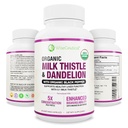 Max Absorption USDA Organic Milk Thistle Potent 5: 1 Koncentreret ekstrakt (2000mg styrke) & Organic Mælkebøtte Root Dex124; Silymarin Antioxidant Flavonoid Dex124; Leverstøtte Supplement (60 Tæl (pakke med 1))