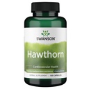 Swanson Hawthorn Extract (Standardized) 250 Milligram 120 Kapsler