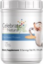 Fejre Vitamin Vegan Protein Powder - All Natural Plant Based Protein Shake Mix - 20g Pea Protein & 3g Fiber, for Post- Bariatric Kirurgi - Vanilla Chai (15 Servere)