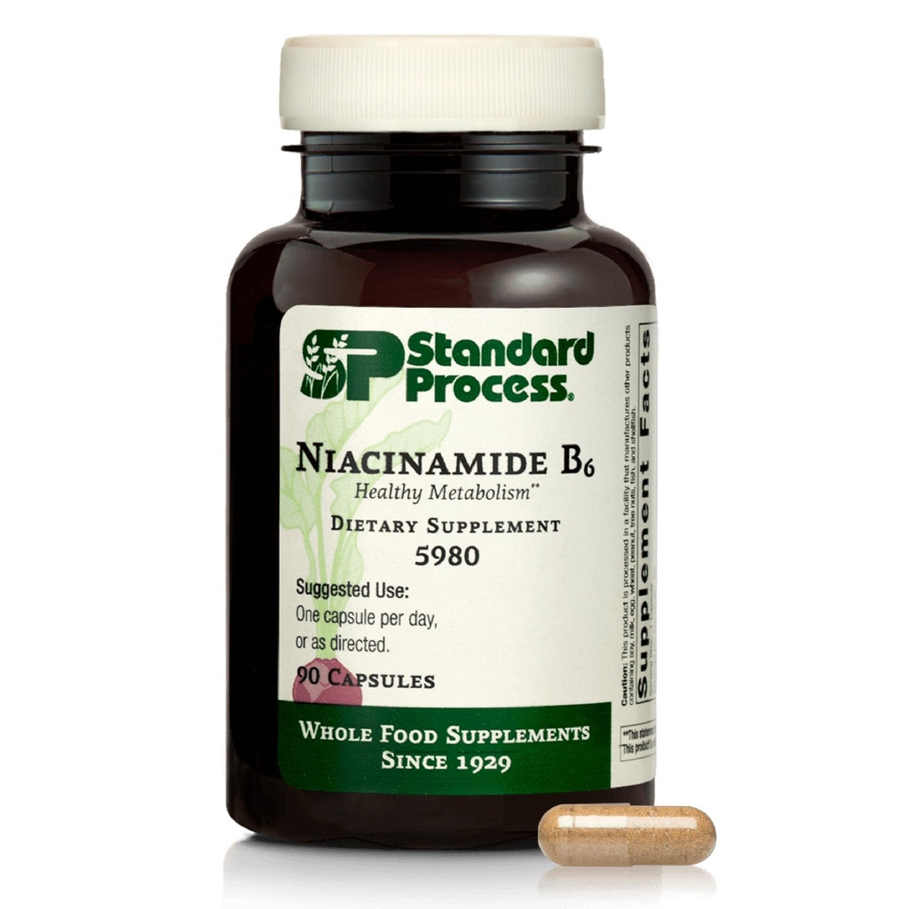 Standard Process Niacinamid B6 - Understøtter energi Metabolisme & Nervesystemet Sundhed - Hjælpemidler Blod Flow & fordøjelsessygdomme med Niacin & vitamin B6 - Non- Dairy - 90 Kapsler