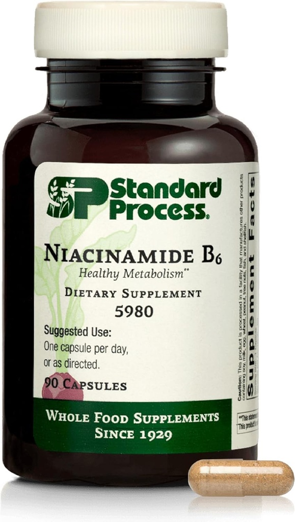 Standard Process Niacinamid B6 - Understøtter energi Metabolisme & Nervesystemet Sundhed - Hjælpemidler Blod Flow & fordøjelsessygdomme med Niacin & vitamin B6 - Non- Dairy - 90 Kapsler
