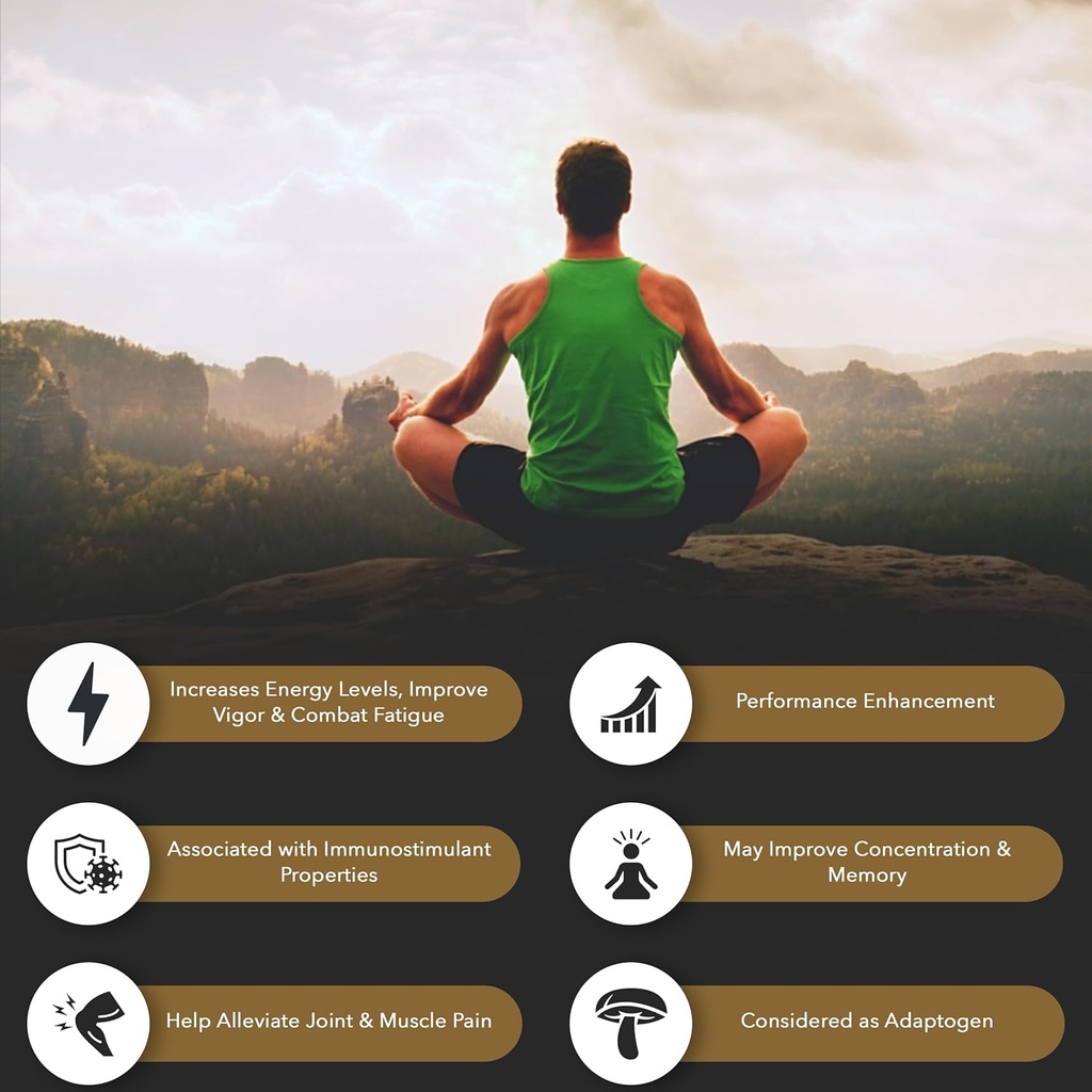 Shilajit Pure Himalayan Organic Resin Gel - Energi Boost, fordøjelsesfremmende sundhed & immunforsvar - Spormineraler Natural Black Shilajit til mænd og kvinder - Rig i Fulvic Acid, Jern, Magnesium (60 Bedste)