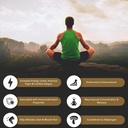 Shilajit Pure Himalayan Organic Resin Gel - Energi Boost, fordøjelsesfremmende sundhed & immunforsvar - Spormineraler Natural Black Shilajit til mænd og kvinder - Rig i Fulvic Acid, Jern, Magnesium (60 Bedste)