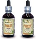 Balm Of Gilead (Populus candicans) Tinktur, Organic Tørret Bud Liquid Extract (Brand name: HerbalTerra, Stolt lavet i USA) 2x2 fl.oz (2x60 ml)
