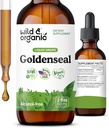 Wild & Organic Goldenseal Root Tinktur - Lung Cleanse, Immunitet & fordøjelsesstøtte - Flydende Goldenseal supplement - Vegan, Sukker & Alkohol- Free Herb Drops - 2 fl oz