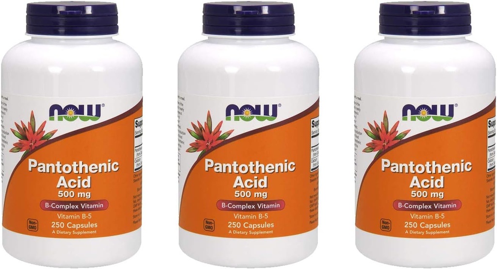 Now Foods Pantothensyre 500 mg, 250 Kapsler (3 Pack)