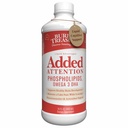 Begravet Treasure - Tilføjet opmærksomhed - Børns Learning Support med GABA DHA Vitamin B og Herbal Blend - Støtte sund hjerne funktioner - Forbedret kortsigtet Auditory Memory Focus & Behavior 16.54 oz