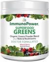Revitaliser din wellness økologiske grønne og røde superfood pulver til vibrant sundhed