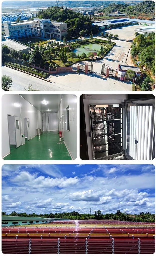 Hæmatococcus pluvialis Superkritisk ekstraktion AO, Astaxanthin Oil (ASTA) ≥ 5% HPLC, 50 Bedste (1, 7 Fl oz.)