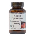 Cynomorium Songaricum Extract 10: 1