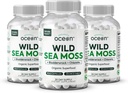 Organiske Ocean Wild Sea Moss Kapsler - 100% Organic Irish Sea Moss med Organic Chlorella, Bladderwrack og D-vitamin til energi, Lung Sundhed og Thyreoidea støtte til kvinder og mænd - 3 flasker