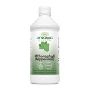 Dynamic Health Liquid Chlorophyll Pebermynte 100 mg, Natriumkobber Chlorophyllin med Alfalfa og Mulberry Leaves, Plant Cleanse and Deodorizing, No Added Sugar, 16 Fl Oz