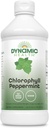 Dynamic Health Liquid Chlorophyll Peppermint 100 mg, Sodium Copper Chlorophyllins with Alfalfa and Mulberry Leaves, Plant Cleanse and Deodorizing, No Added Sugar, 16 Fl Oz