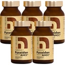 Fucoidan drevet med AHCC ® Brown Seaweed Immunity Supplement med høj renhed Organic Mekabu Mozuku Agaricus 5 flasker - 800 Vegetabilske kapsler Lavet i Japan