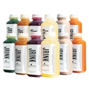 JRINK by Purée Intermediate Juice Cleanse, Cold Pressed Detox Drink with Organic 2 Day-Healthy Vegetable and Fruit Juice, Frozen Pressed Juice Cleanse, 12 Bottles, 16oz Each
