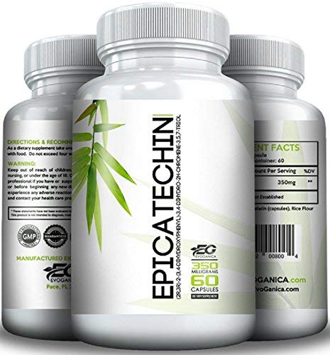 EPICATECHIN (350mg x 60ct) af EVOGANICA