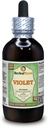 Violet (Viola Yedoensis) Tørret Herb Alkohol- Free Liquid Extract (Brand Name: HerbalTerra, Stolt Made in USA) 4 oz