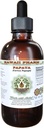 Papaya Alkohol- Free Liquid Extract, Organic Papaya (Carica Papaya) Tørret Leaf Glycerite Natural Herbal Supplement, Hawaii Pharm, USA 2 fl.oz
