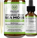 Benevolent Nourishment Organic Irish Sea Moss Drops 2oz - Burdock Root, Bladerwrack & BioPerine [Ultra Strength] 30,000mg Sea Moss Liquid Drops til immunforsvar, Thyroid, Gut, Hud & fælles sundhed