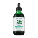 Vitanica fordøjelse Tonic, Gas og Bloating Relief supplement, Økologisk, Forbedre fordøjelsesfunktion & Gut Sundhed, for kvinder & mænd, pebermynte Oil Fennel Ginger & Aloe Vera Vegan, 4 Oz