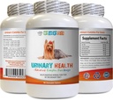 Hund Urinary Tract Support - Hund Urinary Health Formel - Hjælper med inkontinens og Brege spørgsmål - Immunboost - Majs Silkepiller til hunde - 1 flaske (90 Treats)