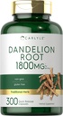 Carlyle Mælkebøtte Root
