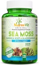 NutreeVit 100% Økologisk - Sea Moss + Bladderwrack + Burdock Powerful Superfood Formel (120 kapsler)