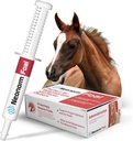 Jaguar Animal Health Foal - Equine supplement Paste til støtte af korrekt hydrering og tarm sundhed - Plantbaserede produkt til præ-fravænnede føl (30 ml)