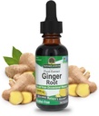 Naturens svar Alkohol- Gratis ingefær Root, 1-Fluid Ounce Measures 124; Inflammatorisk support Measures 124; Understøtter fordøjelse