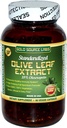 Organic Olive Leaf Extract Kapsler - Pure Organic Olive Leaf Plus Standardized Oleuropein Extract, 90 Vegetar Caps, 400 mg Maksimal styrke Kompleks for immunforsvar