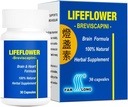 Lifeflower, 100% All Natural, Youth Brain Herbal Supplement, Support Cerebrovaskulær System, Forbedre hukommelse, 30 kapsler