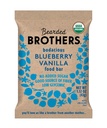 Bearded Brothers, Organic Vegan Protein Energy Bars, Blueberry Vanilla (12 Pack) - Gluten Free, Paleo, Fiber, Hel 30