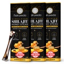 Himalayan Shilajit Honey Sticks for Mænd & Kvinder - 75% + Fulvic Acid & Trace Minerals - Raw Honey, Saffron & Himalayan Shilajit Resin - Stamina, Performance & Energy Support - (pakke af 30)