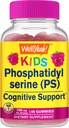WellYes Kid 's Phosphatidylserine Gummies (100mg) Phosphatidylserine Supplement: 124; Kognitiv Support: 124; Raspberry Flavor: 124; Gluten Free, Non GMO' er: 124; 60 Greve