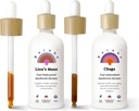 Rainbo Mushroom Bundle, Lions Mane Mushroom Extract + Chaga Mushroom Tincture, Dual Extract Daily Mushroom Tincture for Total immunforsvar, Vegansk flydende Mushroom Kosttilskud