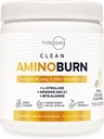 Type Zero Amino Burn Vegan BCAAs + Pre-workout (Pina Colada Smag)