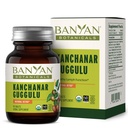 Banyan Botanicals Kanchanar Guggulu Tablets - Organic Lymph Supplement med Guggulu Resin - fremmer den sunde eliminering af naturlige toksiner * - 90 tabletter - ikke-GMO bæredygtigt sourced Vegan