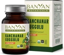 Banyan Botanicals Kanchanar Guggulu Tablets - Organic Lymph Supplement med Guggulu Resin - fremmer den sunde eliminering af naturlige toksiner * - 90 tabletter - ikke-GMO bæredygtigt sourced Vegan