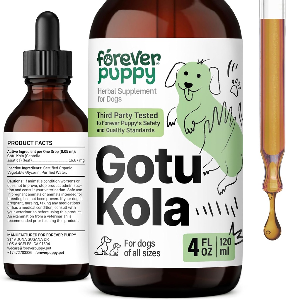 Forever Puppy Gotu Kola Drops til hunde - Gotu Kola Extract & Centella Asiatica til hjerne sundhed støtte - Nutritional Brain Supplement for hunde af alle racer & størrelser - 4 oz