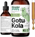 Forever Puppy Gotu Kola Drops til hunde - Gotu Kola Extract & Centella Asiatica til hjerne sundhed støtte - Nutritional Brain Supplement for hunde af alle racer & størrelser - 4 oz