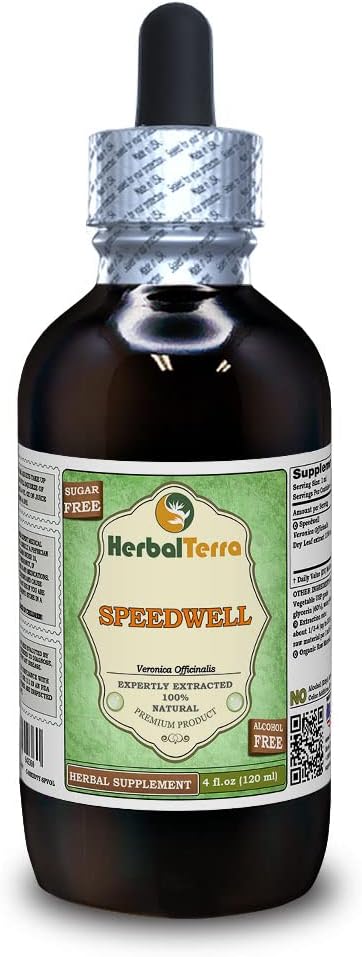 Speedwell (Veronica Officinalis) Glycerit, Organic Tørret blade Alkohol- Free Liquid Extract (Brand Name: HerbalTerra, Stolt Made in USA) 4 fl.oz (120 ml)