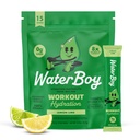 Vanddreng workout Hydration Mea124; 2,960mg Sugar Free Electrolyte Powder Packets Mea124; L- Glutamin + Vitamin Mea124; No Sugar, All Natural, Gluten Free Mea124; 15 Drink Stick Mikes (Lemon Lime)