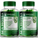 WELLENess LASSRX Sea Moss Gummies, 3200mg Irish Sea Moss blandet berry flavor med maksimal potens Bladderwrack og Burdock Root - understøtter hud, energi og immunitet - 180 Greve