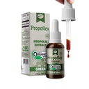 Beelife Propoflex Organic Green Propolis Extract - High Artepillin- C Niveauer, Antioxidant- Rich Supplement for Samlet Wellness - Natural & Kosher- Friendly Dietary Supplement - Made in Brazil, 1 Fl. Oz.
